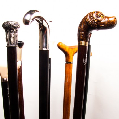 Dress Cains & Shooting Seat Sticks