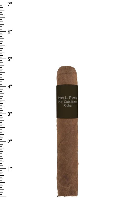 José L Piedra Petit Caballeros