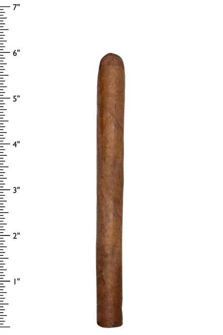 Puro Desnudo Carlota