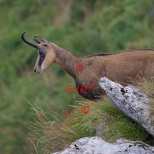 RANGEGUIDE 3200 8×40