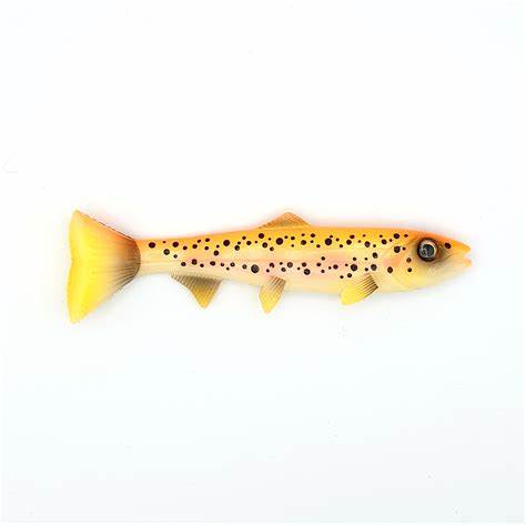 Hostagevalley Troubletail Gold Trout