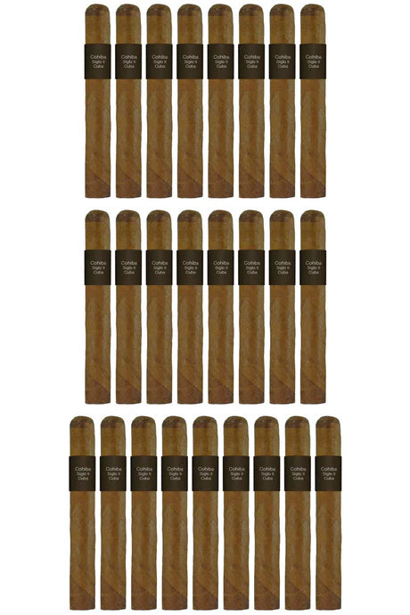 Cohiba Siglo II