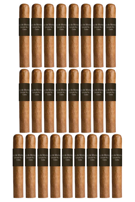 Hoyo de Monterrey Epicure No. 2