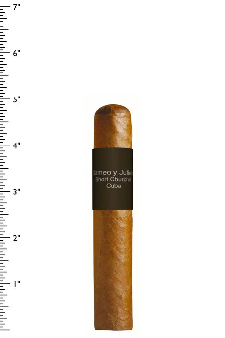 Romeo Julieta Short Churchill