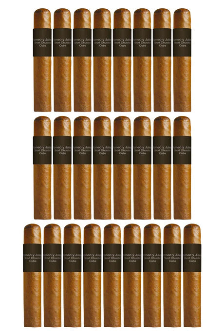 Romeo Julieta Short Churchill