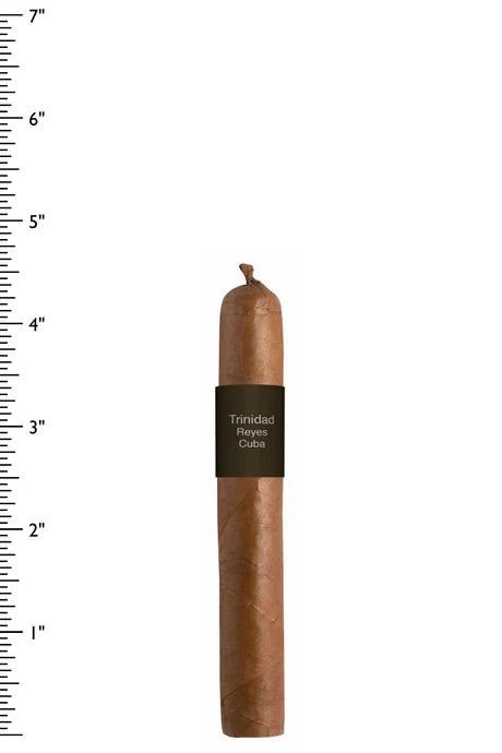 Trinidad Reyes